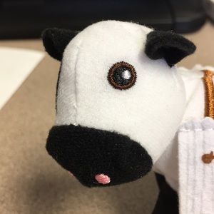 Meet your Posher, Dawn